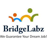 BRIDGELABZ SOLUTIONS PRIVATE LIMITED logo
