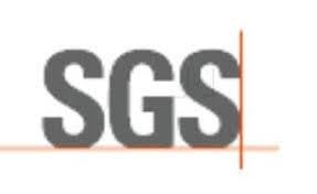SGS India Pvt. Ltd. logo