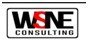 WSNE Consulting Pvt Ltd logo